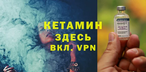 spice Богородицк