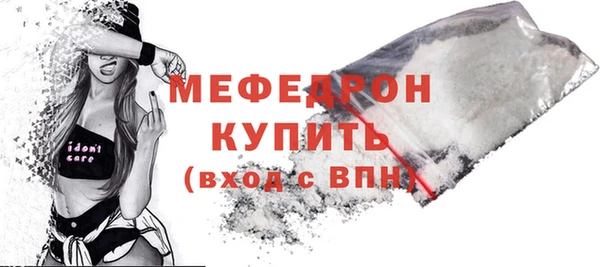 spice Богородицк