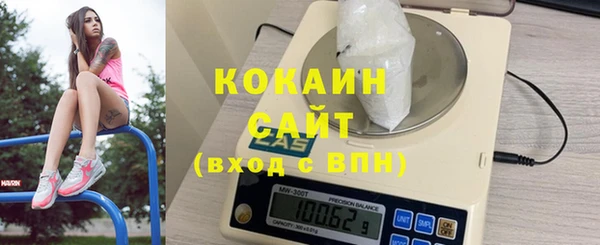 spice Богородицк
