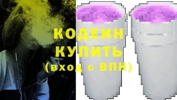 spice Богородицк