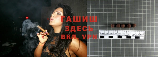 spice Богородицк