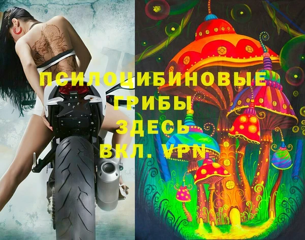 бошки Богданович