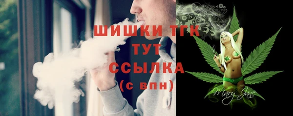 spice Богородицк