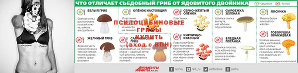 бошки Богданович