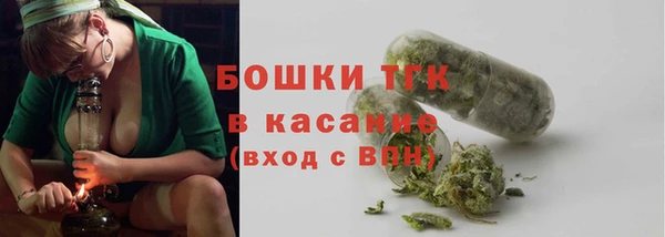 spice Богородицк