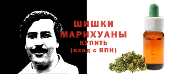 бошки Богданович
