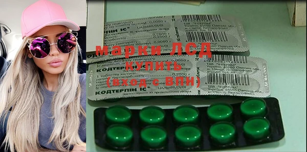 spice Богородицк
