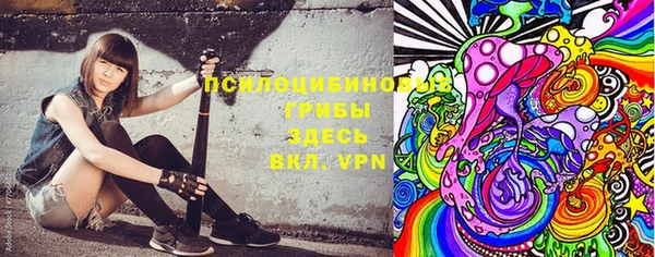 бошки Богданович