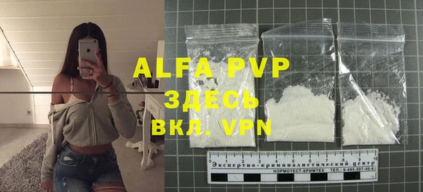 spice Богородицк