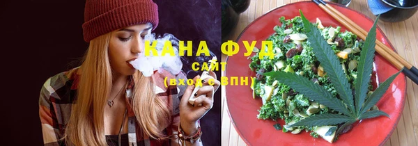 spice Богородицк
